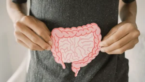 Read more about the article The Connection Between Gut Health and Overall Wellbeing
