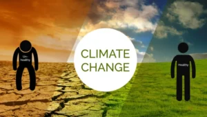 Read more about the article How Climate Change is Affecting Global Health