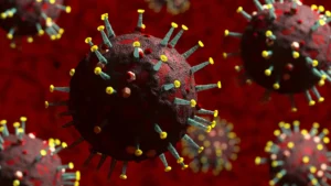 Read more about the article The Growing Concern of Antibiotic Resistance: What Can We Do?