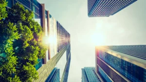Read more about the article The Role of Location in Commercial Property Success