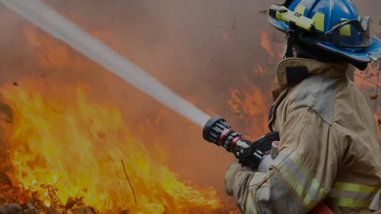 IoT in Disaster Management and Response