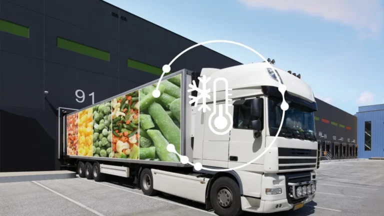 Practices for Transporting Perishable Goods