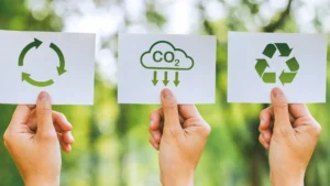 Read more about the article Sustainable Packaging Solutions for a Greener Supply Chain