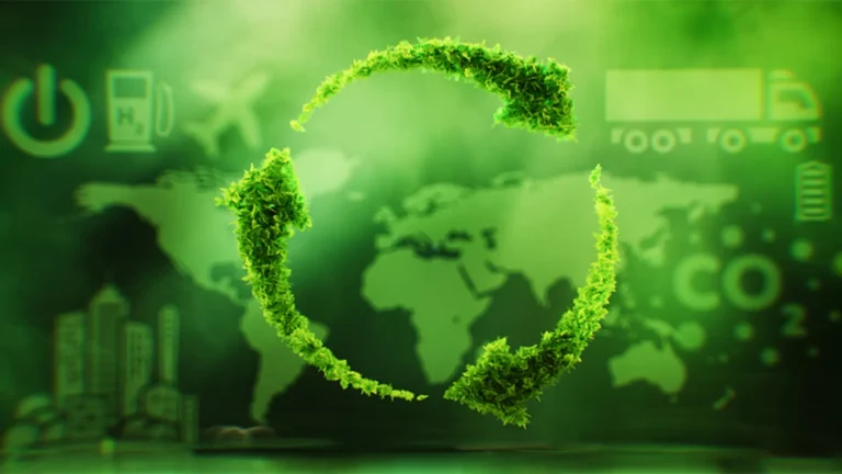 Circular Economy in Modern Logistics