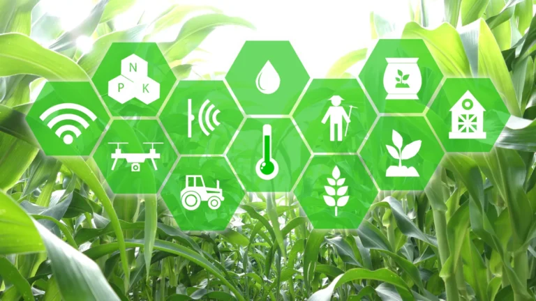 IoT is Enhancing Smart Agriculture